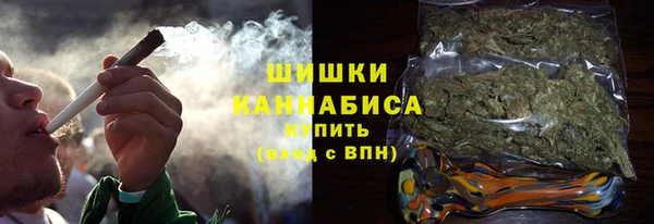 ПСИЛОЦИБИНОВЫЕ ГРИБЫ Горняк
