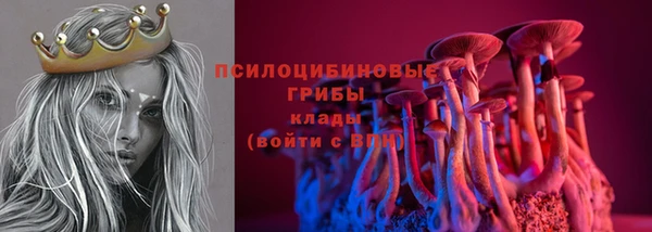ПСИЛОЦИБИНОВЫЕ ГРИБЫ Горняк