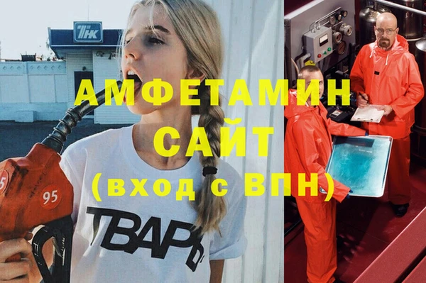 ПСИЛОЦИБИНОВЫЕ ГРИБЫ Горняк