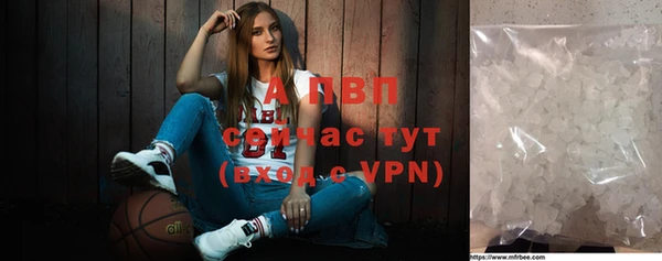 ПСИЛОЦИБИНОВЫЕ ГРИБЫ Горняк