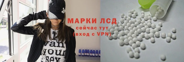 ПСИЛОЦИБИНОВЫЕ ГРИБЫ Горняк