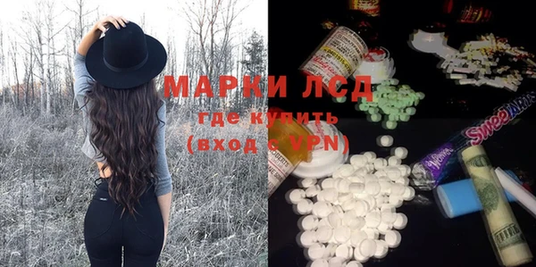 ПСИЛОЦИБИНОВЫЕ ГРИБЫ Горняк