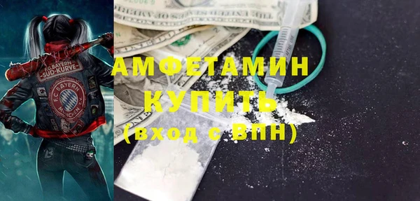 ПСИЛОЦИБИНОВЫЕ ГРИБЫ Горняк