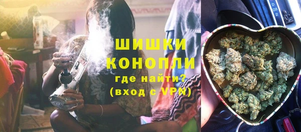 ПСИЛОЦИБИНОВЫЕ ГРИБЫ Горняк