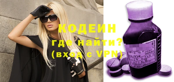 ПСИЛОЦИБИНОВЫЕ ГРИБЫ Горняк