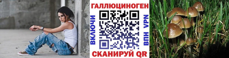 кракен вход  Благовещенск  Галлюциногенные грибы Magic Shrooms  закладки 